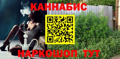 индика Жуковский