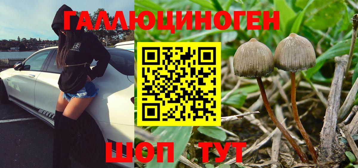 Псилоцибиновые грибы MAGIC MUSHROOMS Малоярославец